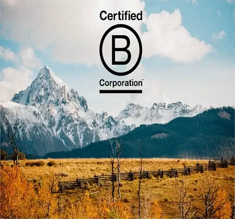 B Corp logo